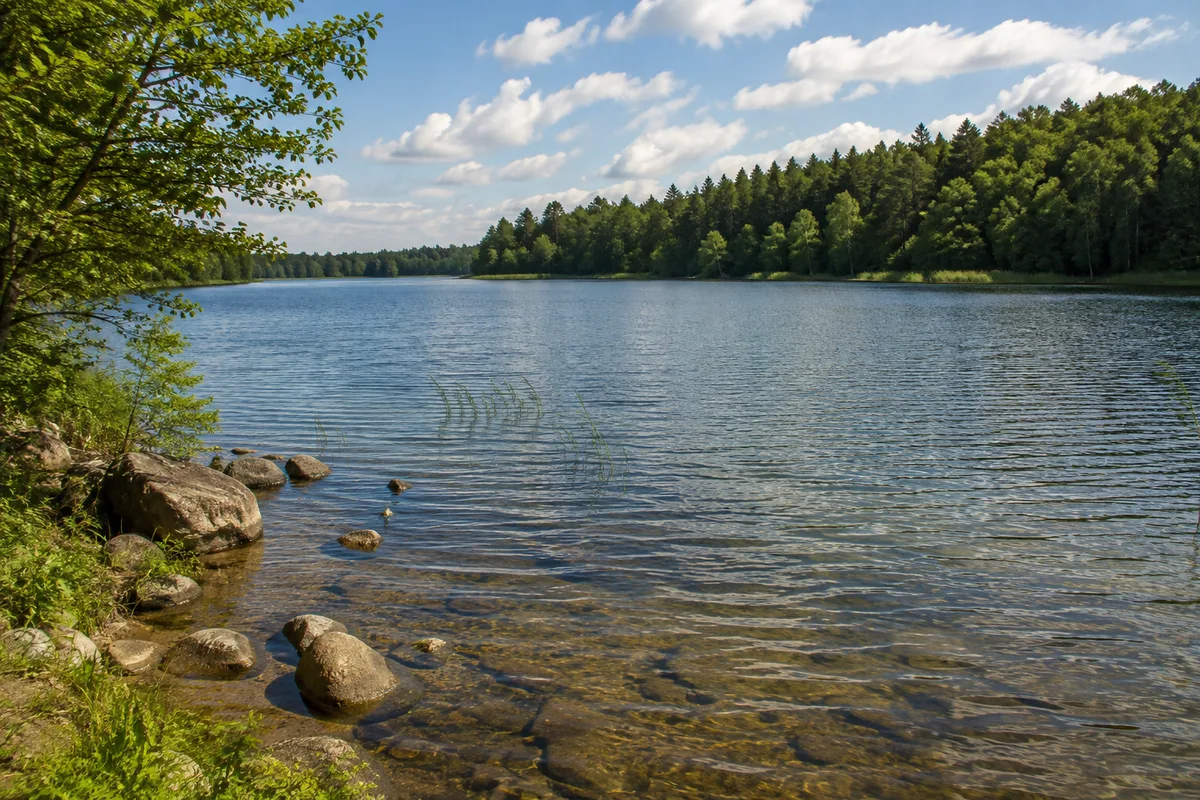 Breiter Luzin bei Wittenhagen mit klarem Wasser und bewaldetem Gegenufer
