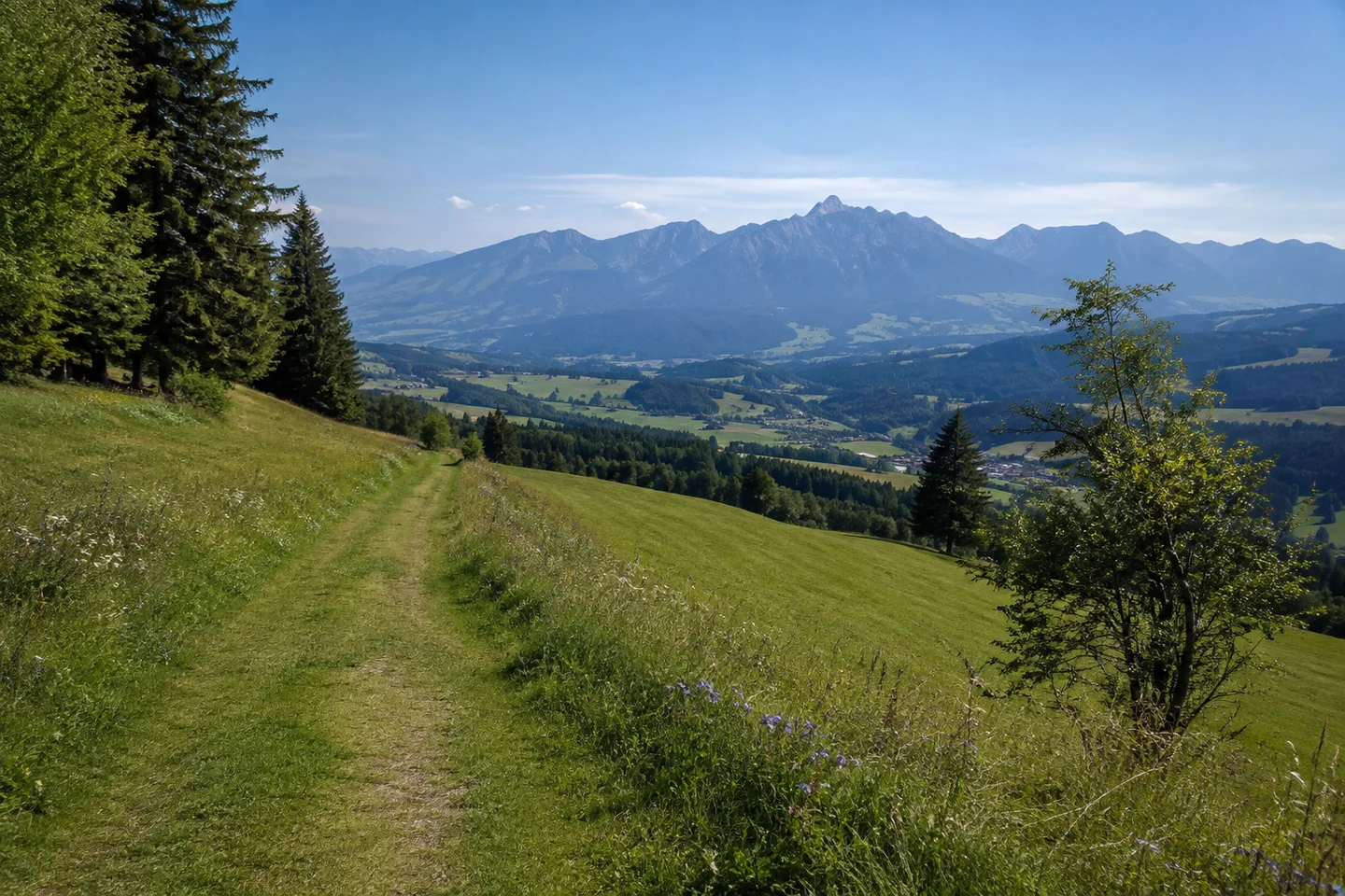 Maderhalm: grüne Hangwiesen über dem Illertal mit breitem Wiesenweg und fernem Rubihornmassiv