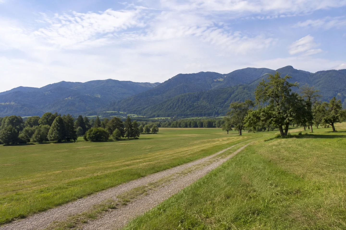 Oberthalhofen: wellige Talrandweiden östlich der Iller, Obstbäume und Waldhänge