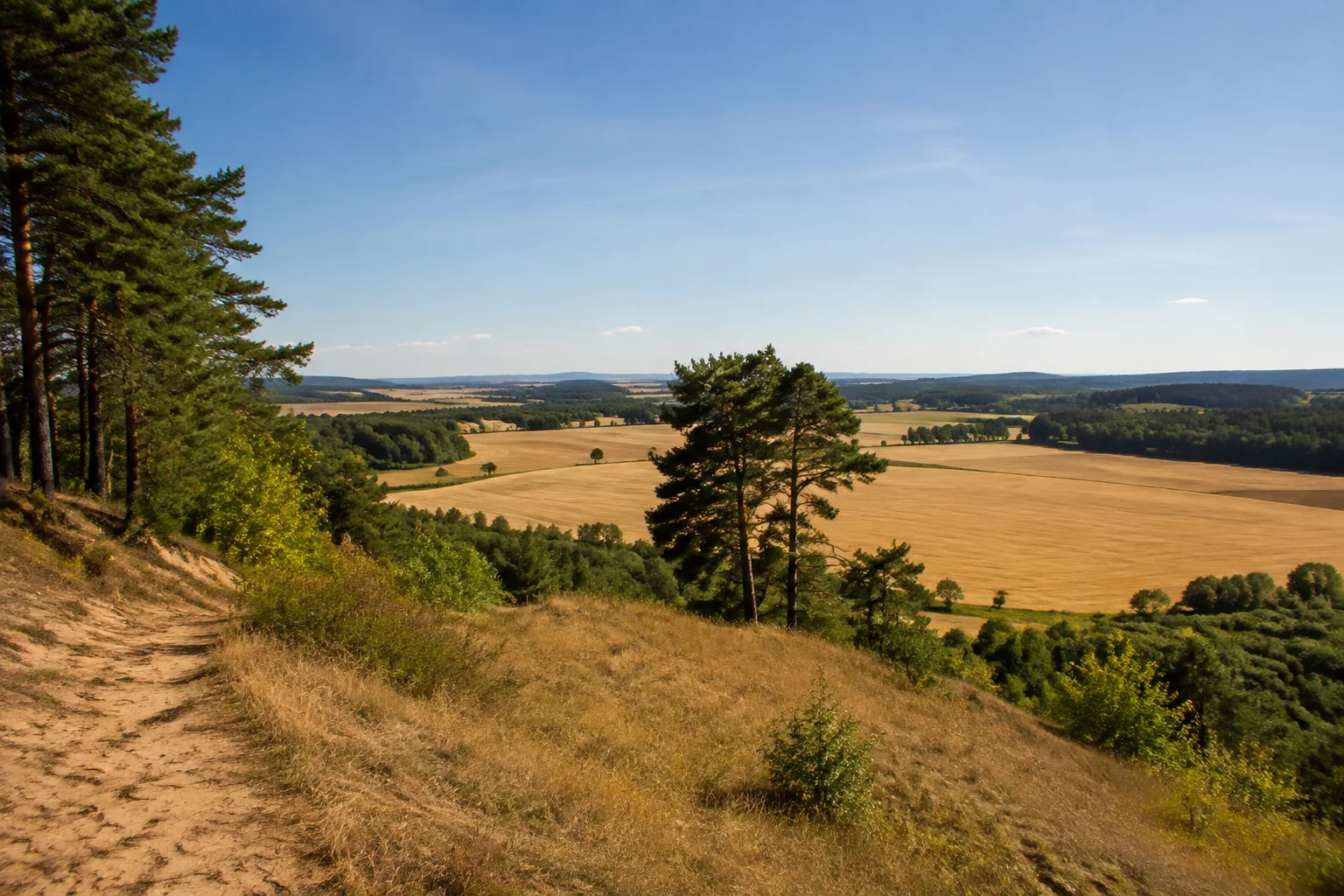 Fläming: Bad Belzig / Hoher Fläming: Brandenburgischer Fläming: sanfte trockene Moränenhügel mit Kiefernwald, Getreidefeldern und Feldgehölzen