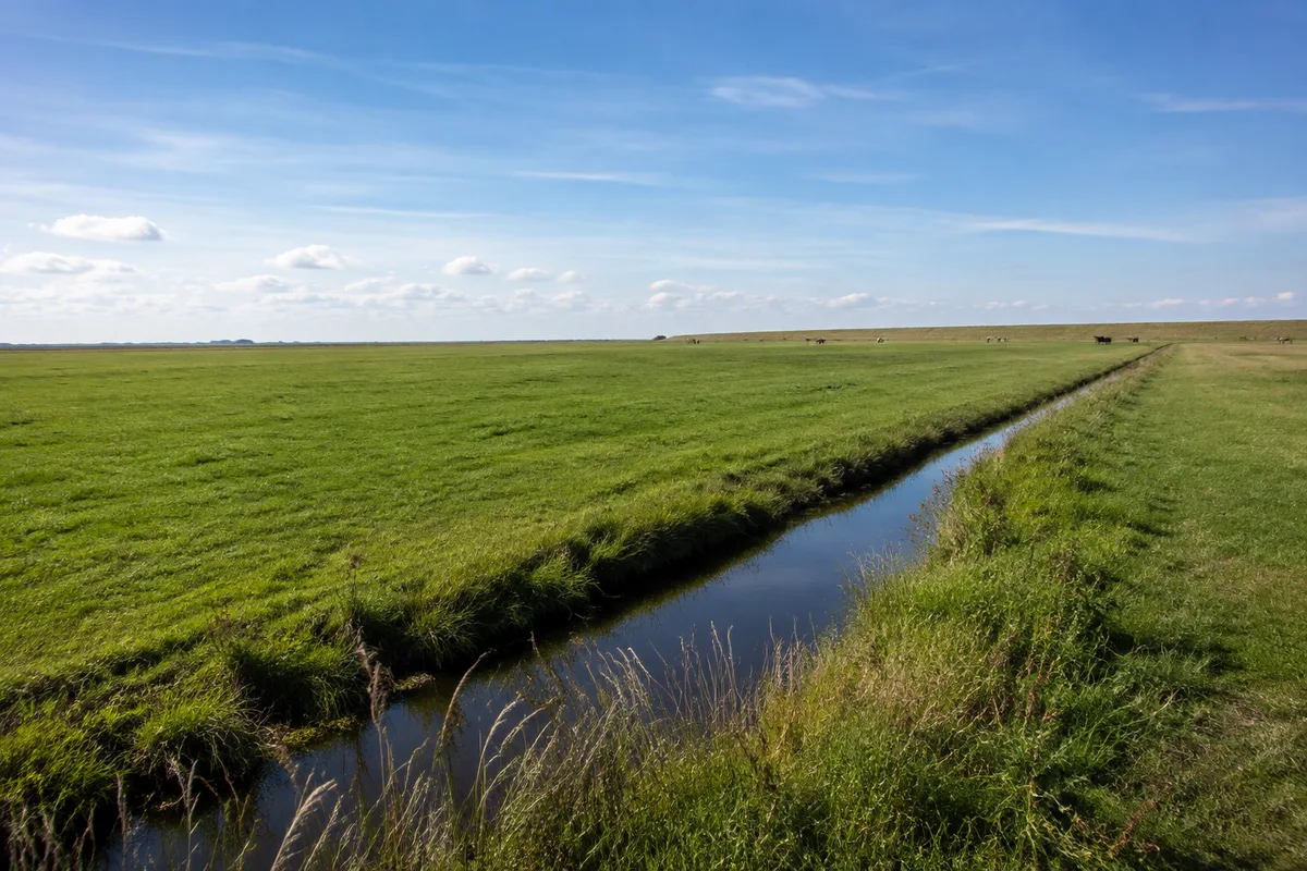 Föhrer Nordmarsch: Weite flache Weiden mit schmalen Gräben und fernem Seedeich