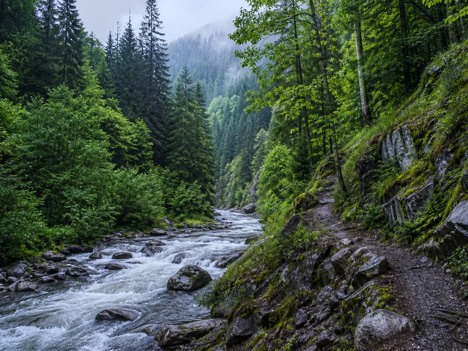 Schwarzenbach-Talsperre: weiter Stausee zwischen dicht bewaldeten Höhen