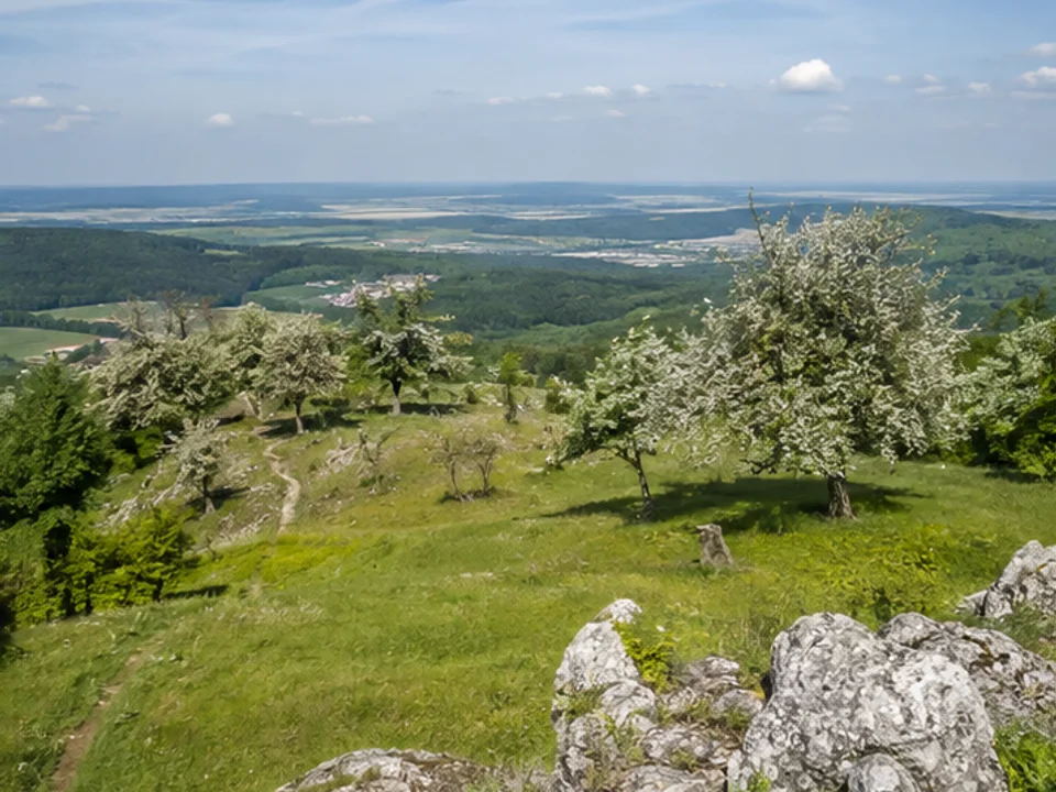 Walberla: Streuobsthänge und weite Jurablicke
