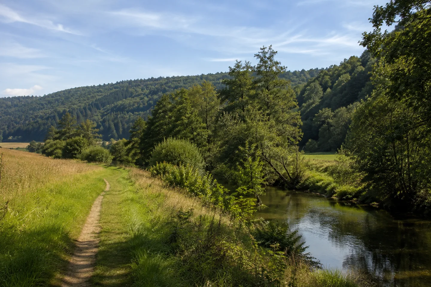 Wiesenweg im breiten Pegnitztal nahe Hersbruck, kleiner gewundener Fluss, Erlen am Ufer und bewaldete Jurahöhen im Hintergrund.