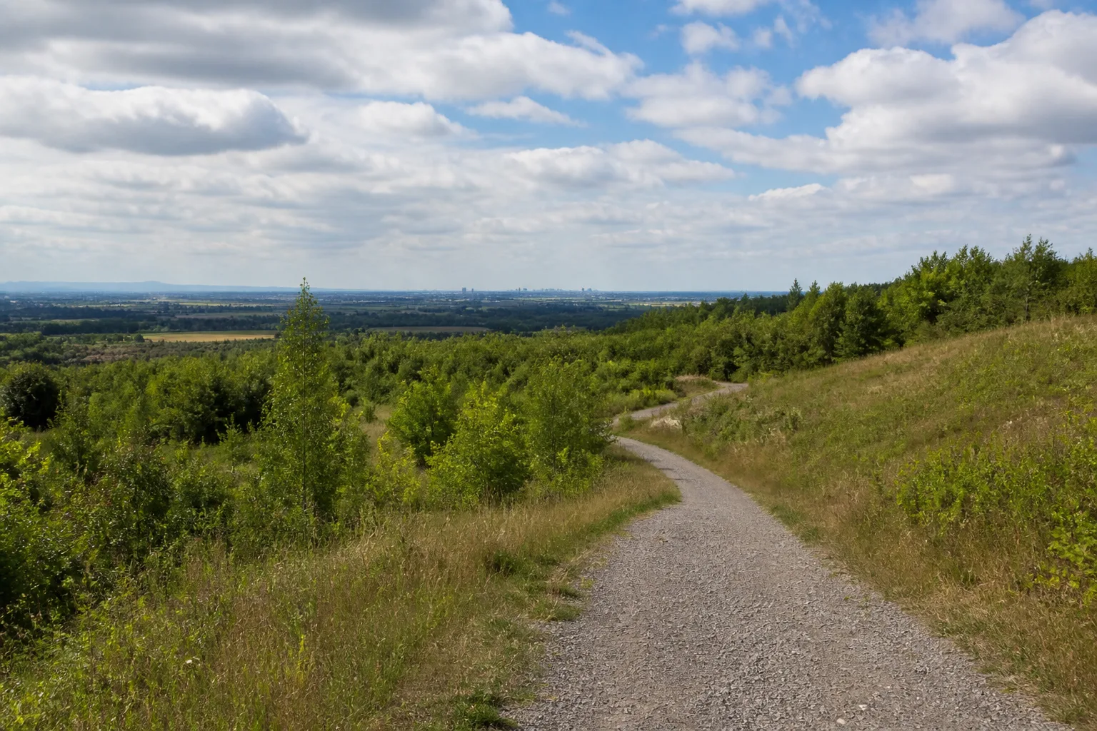 Rekultivierte Landschaft bei Frechen-Grefrath