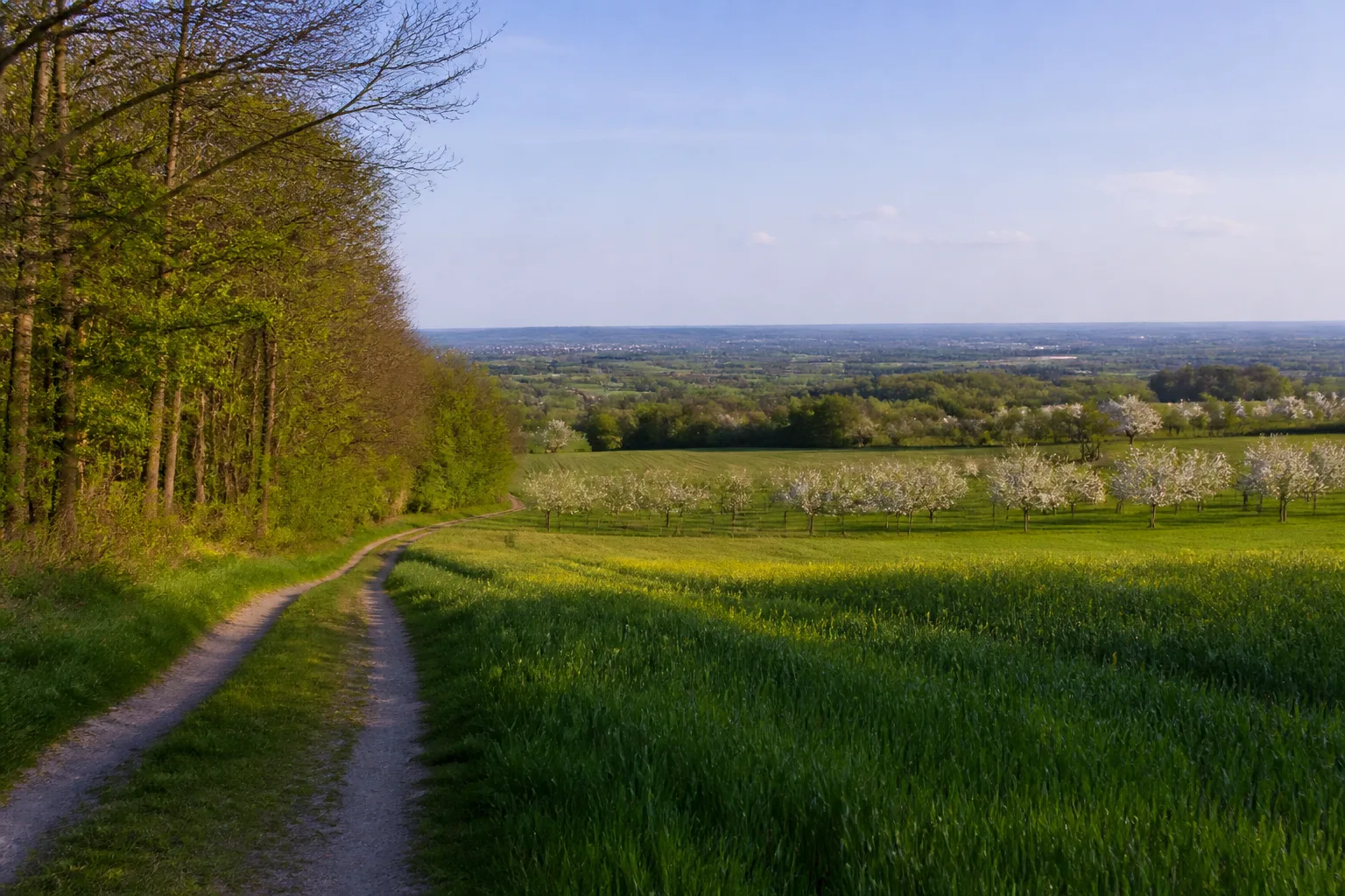 Villerücken und Obstwiesen bei Benzelrath