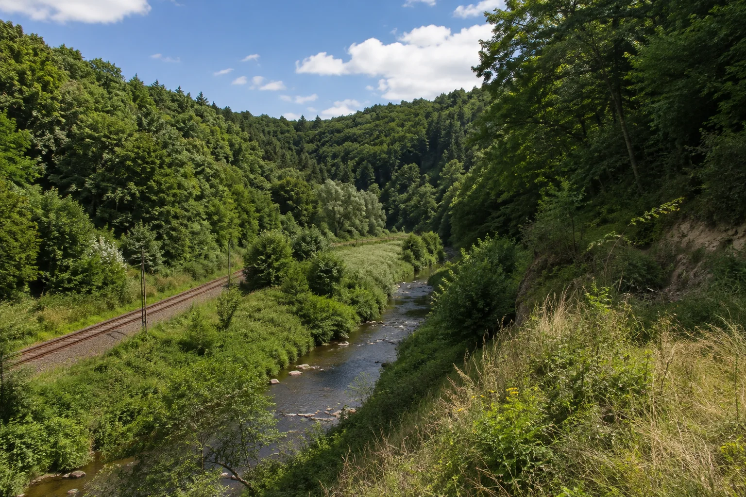 Halsbacher Muldental: kleiner Fluss in grünem eingeschnittenem Tal unter Laubwaldhängen