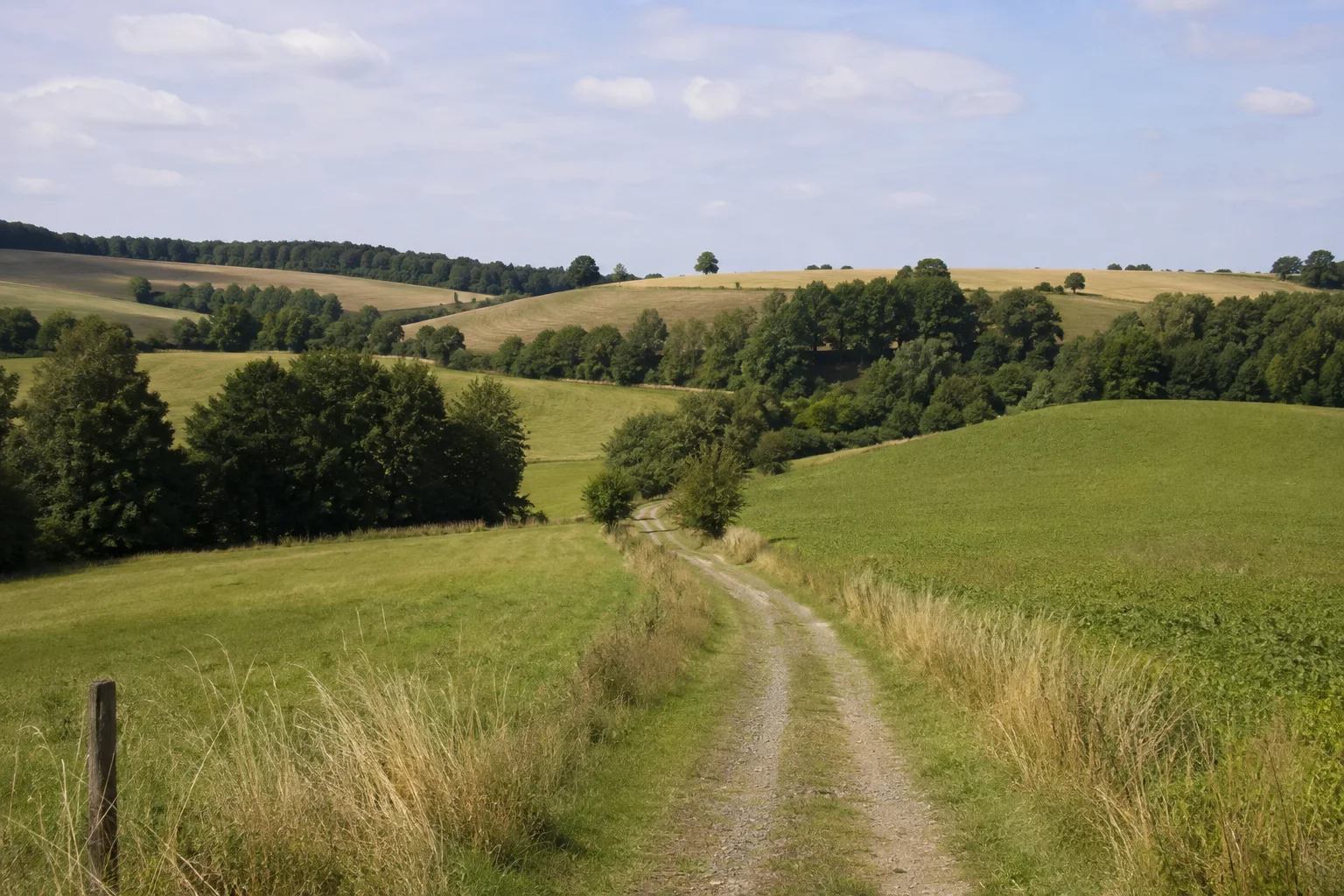 Kleinwaltersdorfer Felder: Feldweg zwischen Wiesen, Baumgruppen und sanften Ackerhügeln