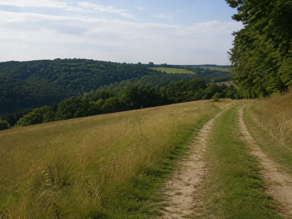 Somsdorfer Dorfhöhen: weiche Mittelgebirgshügel mit Wiesen, Feldweg und bewaldetem Tal im Hintergrund