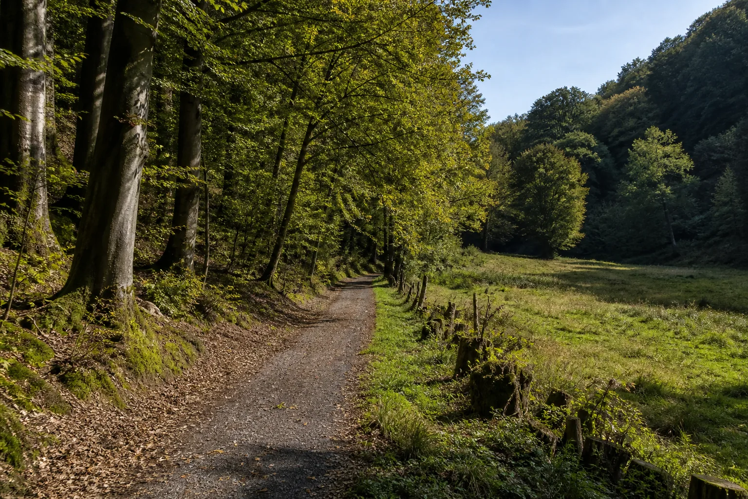Wanderpfad im Giebelwald bei Freudenberg