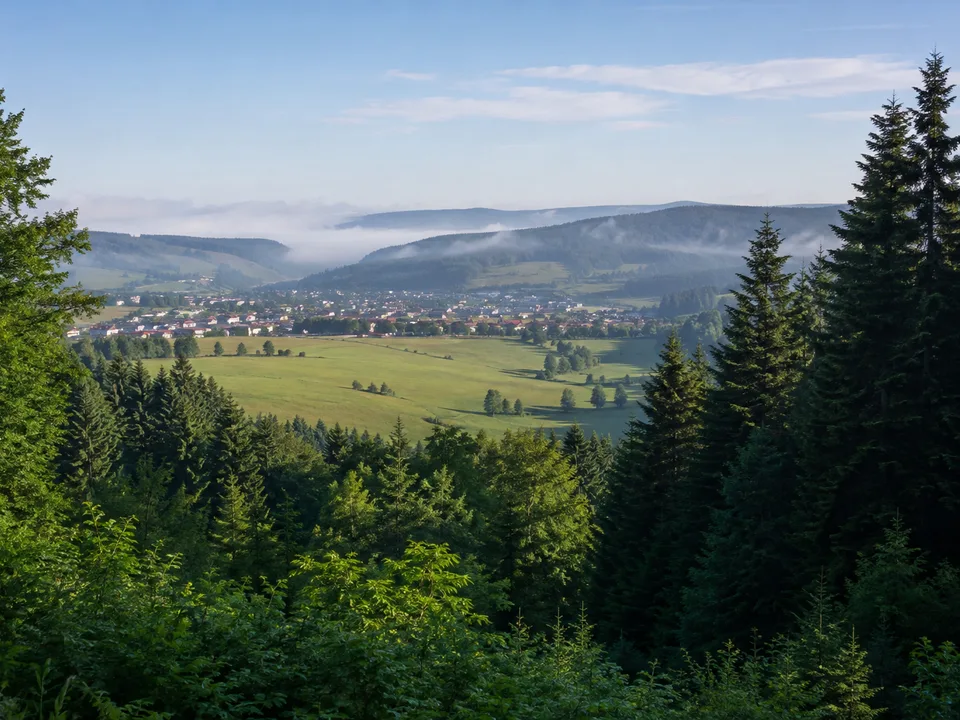 Christophstal: enges Tal mit Bach und alten Gewerbespuren