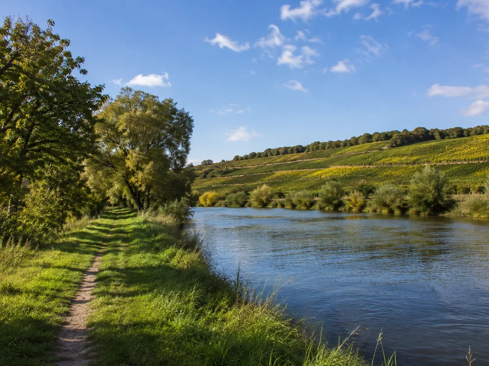 Unstrutufer bei Freyburg: Ruhiger schmaler Fluss mit grünem Uferweg, niedrige Weinberge im Hintergrund