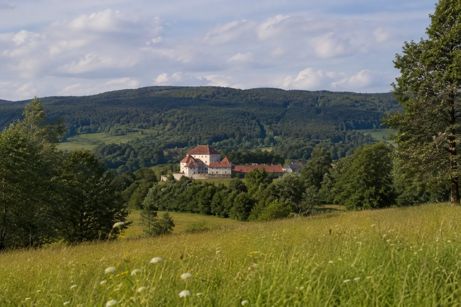Schloss Wolfstein: historisches Schloss über grüner Stadt- und Waldkante