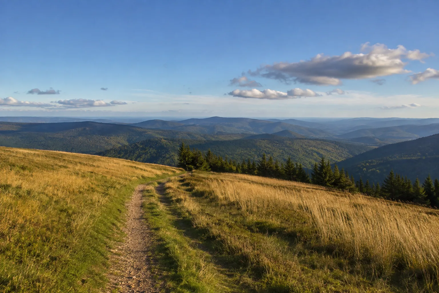 Heuberg: offener Höhenweg mit weitem Blick über Thüringer-Wald-Kämme