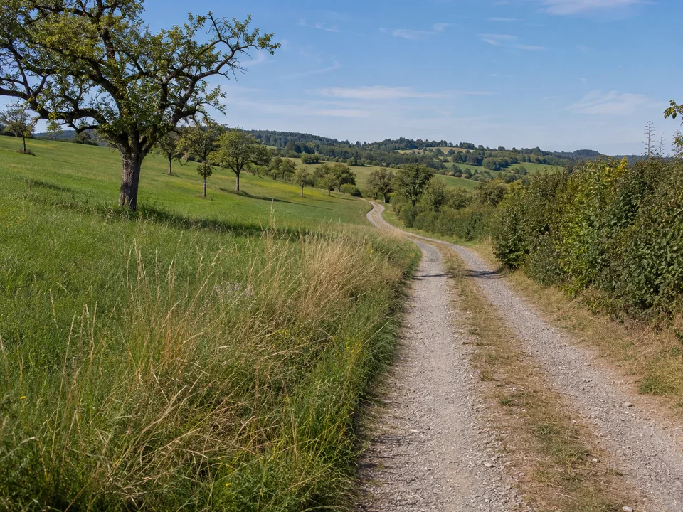 Klufterner Kulturlandschaft: Sanfte grüne Wiesen mit alten Obstbäumen, Feldhecken und einem geschotterten Wanderweg zwischen niedrigen Hügeln