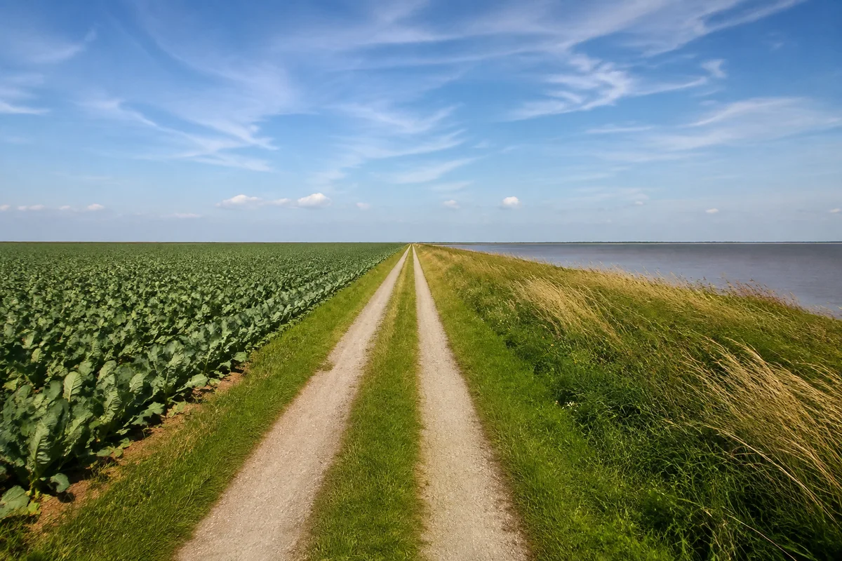 Friedrichskooger Binnenland: Langer gerader schmaler Wirtschaftsweg zwischen Kohläckern und Grasrändern unter weitem Himmel