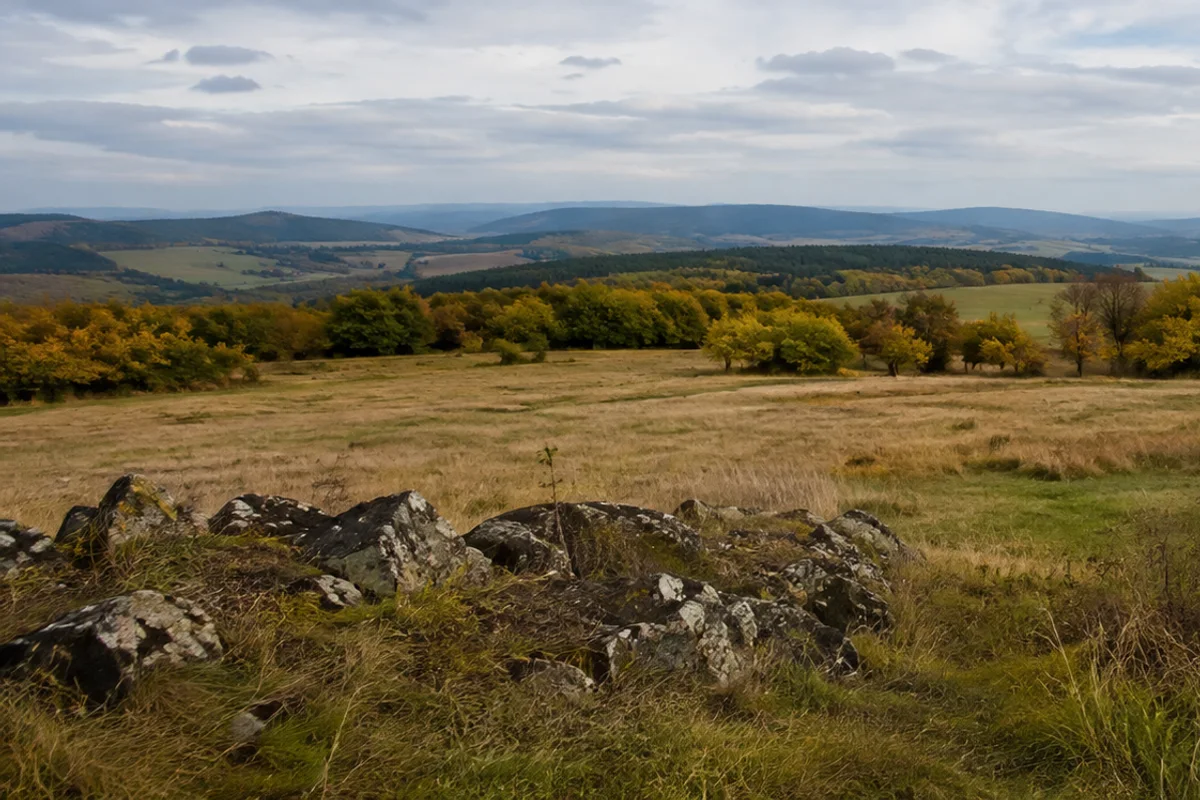 Naturschutzgebiet: artenreiche Bergwiesen auf der Kuppe