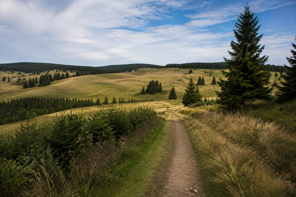 Südwestliche Hochlage mit weiten Wiesen und Schwarzwaldhöfen.