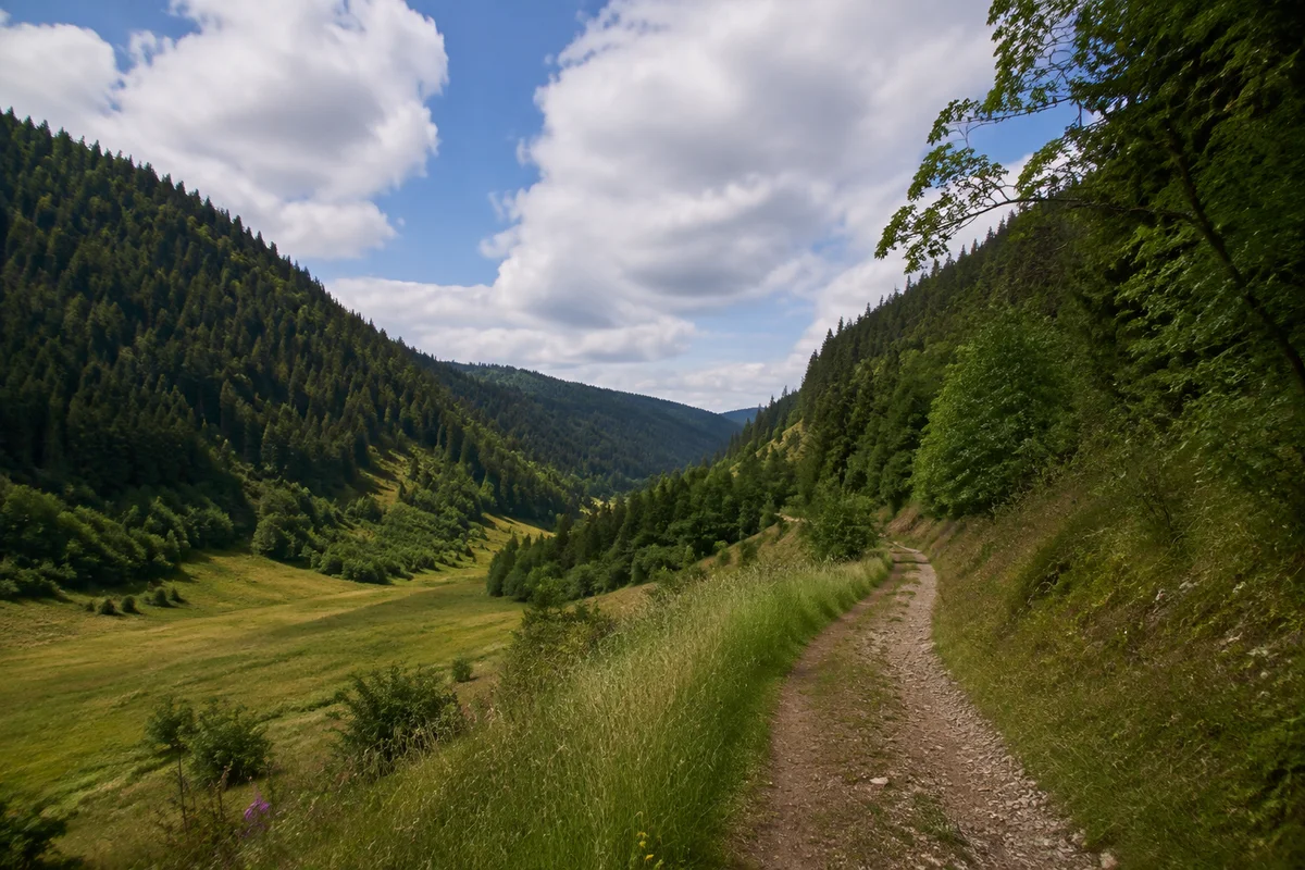 Furtwangen im Schwarzwald: Furtwangen: Bregtal mit hohen bewaldeten Hängen und offener Talsohle.