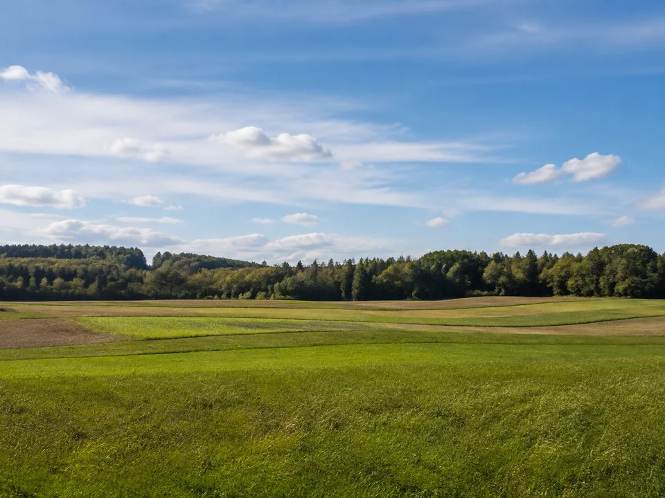 Unterbrunn bei Gauting: grüne Wiesen und Ackerfluren vor niedrigem Mischwaldsaum, weite Himmelsperspektive