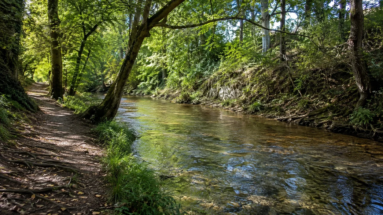 Gauting: Gauting Bahnhof: Gautinger Würmtal: schmaler klarer Fluss unter alten Laubbäumen, flacher Uferweg und niedrige bewaldete Böschung