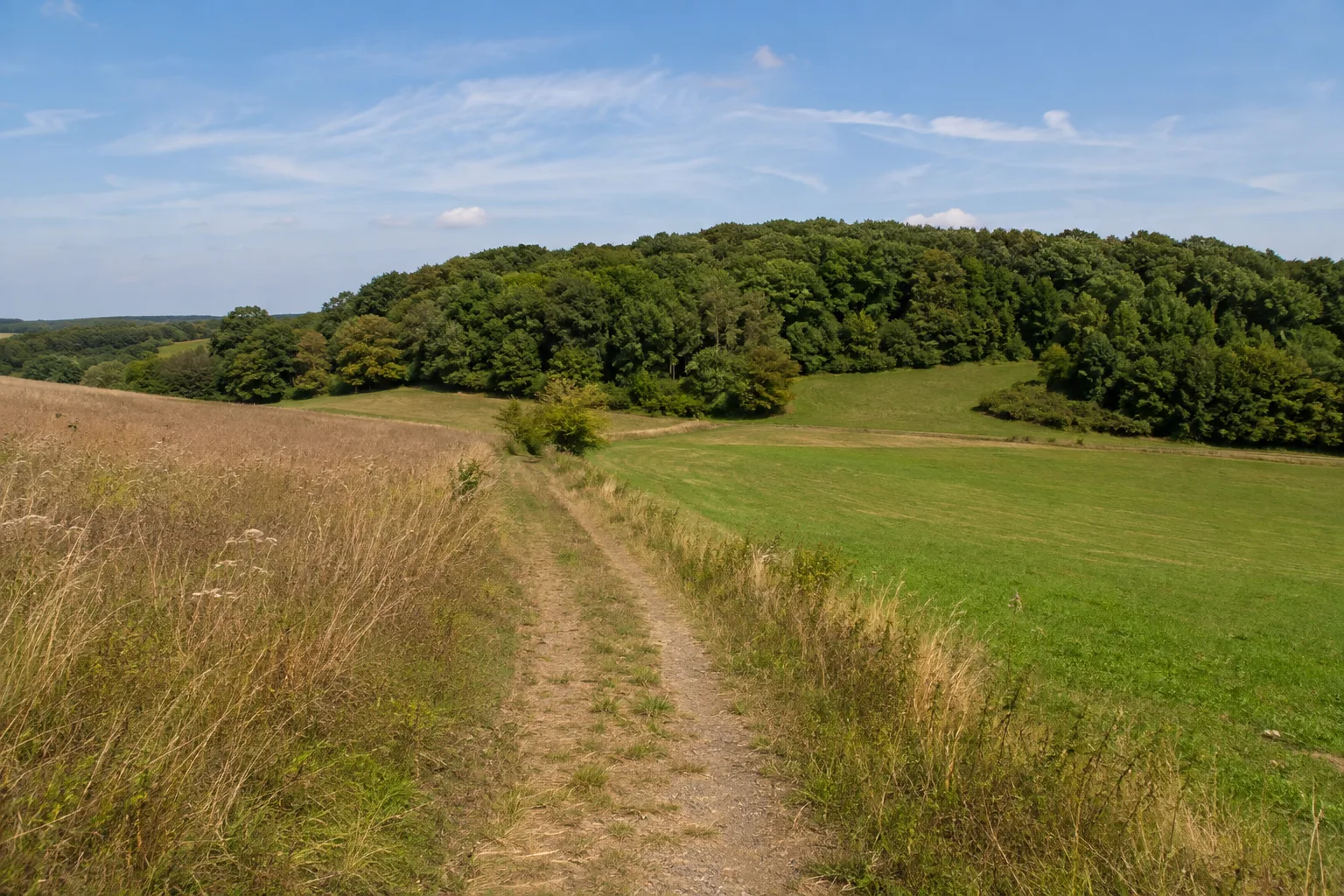 Mörsdorfer Zugang: Feldweg vom Hunsrückdorf zum Waldrand