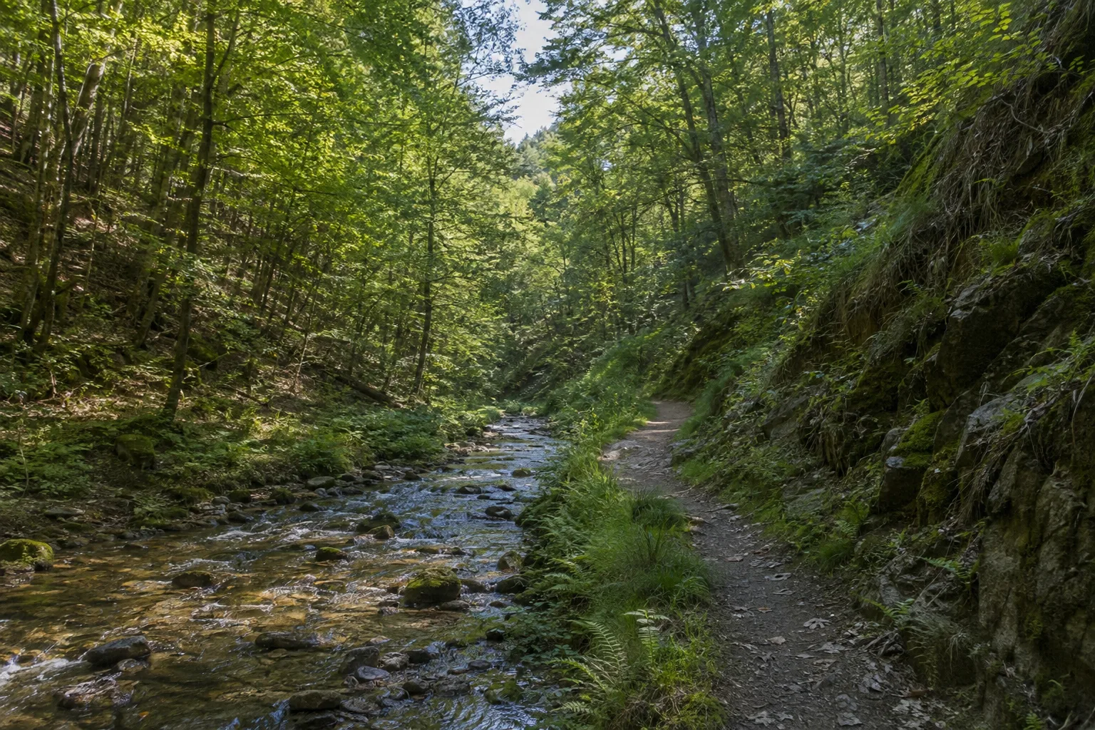 Dünnbachtal: enger Laubwaldgrund unterhalb der Brücke