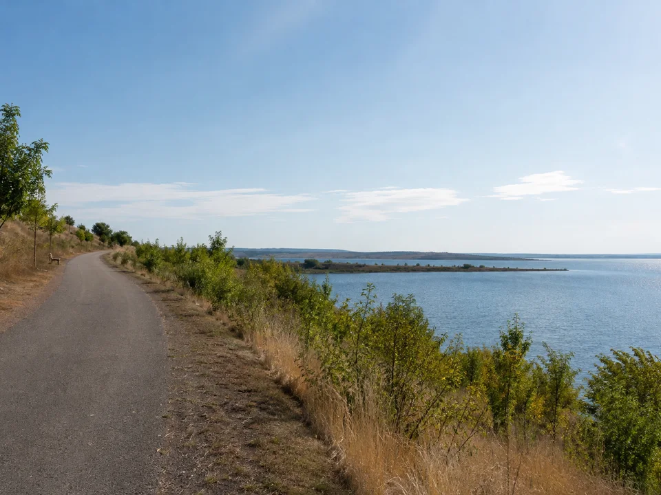 Südliches Seeufer: Asphaltierter gemeinsamer Geh- und Radweg oberhalb von Wasser und jungen Gehölzen auf ehemaliger Tagebauböschung