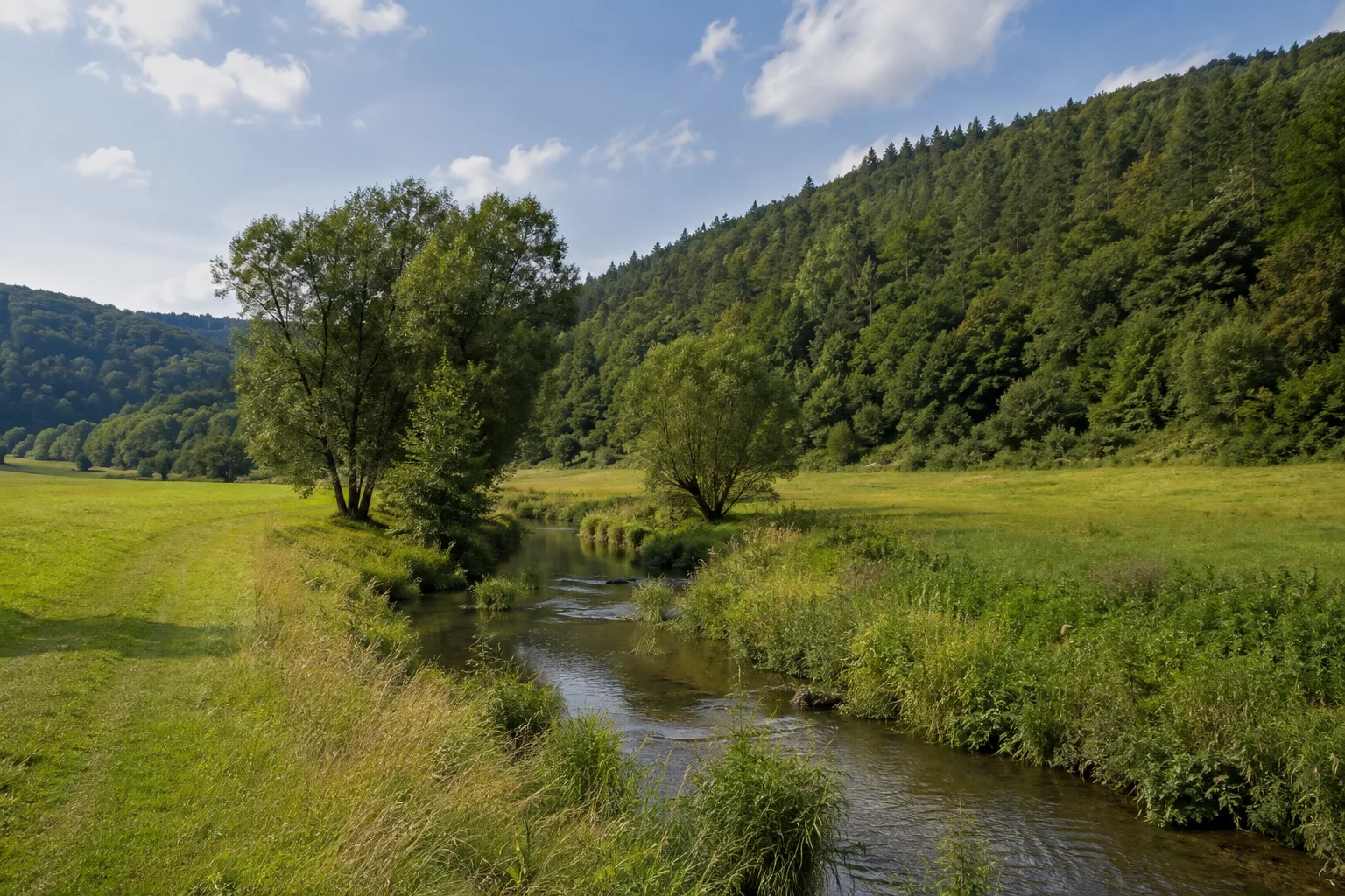 Sinntal bei Schaippach: kleiner Fluss durch eine grüne Wiesenmulde, Uferbäume und dichte niedrige Waldhänge.