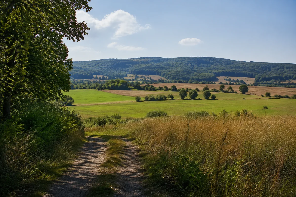 Geo-Naturpark Frau-Holle-Land: Kleinalmerode: Meißnervorland bei Germerode: offene Wiesen und Ackerflächen vor dem breiten bewaldeten Meißnerplateau