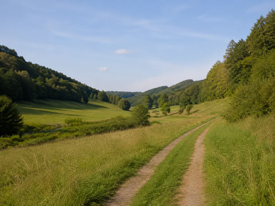 Elstertal bei Milbitz: Offene grüne Talwiese mit kleinem Feldweg zwischen niedrigen bewaldeten Hügeln
