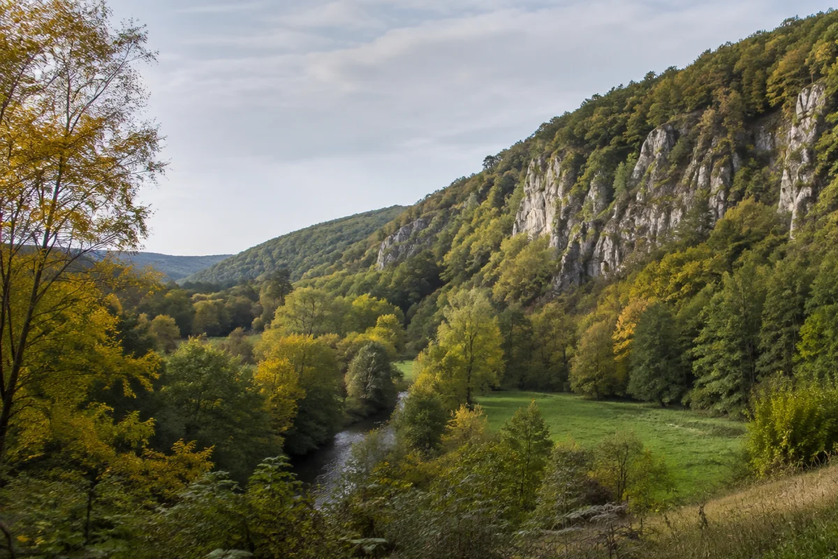 Buchenloch: Wald und Kalkfelsen am Höhlenzugang
