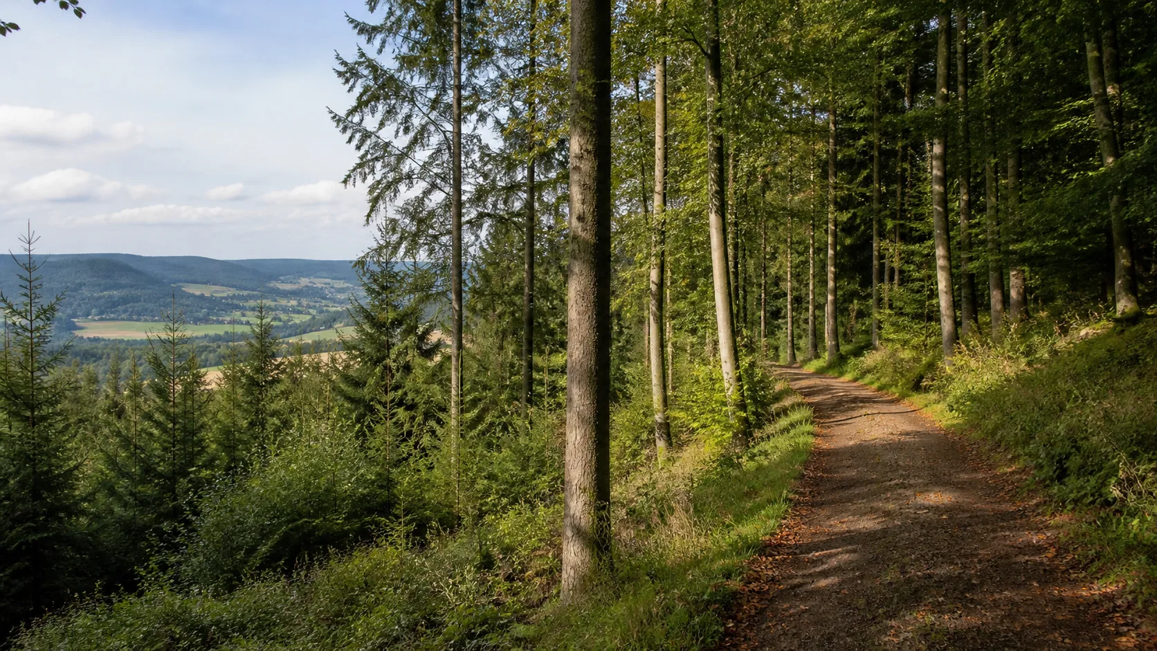Gipfelweg am Ohlenberg