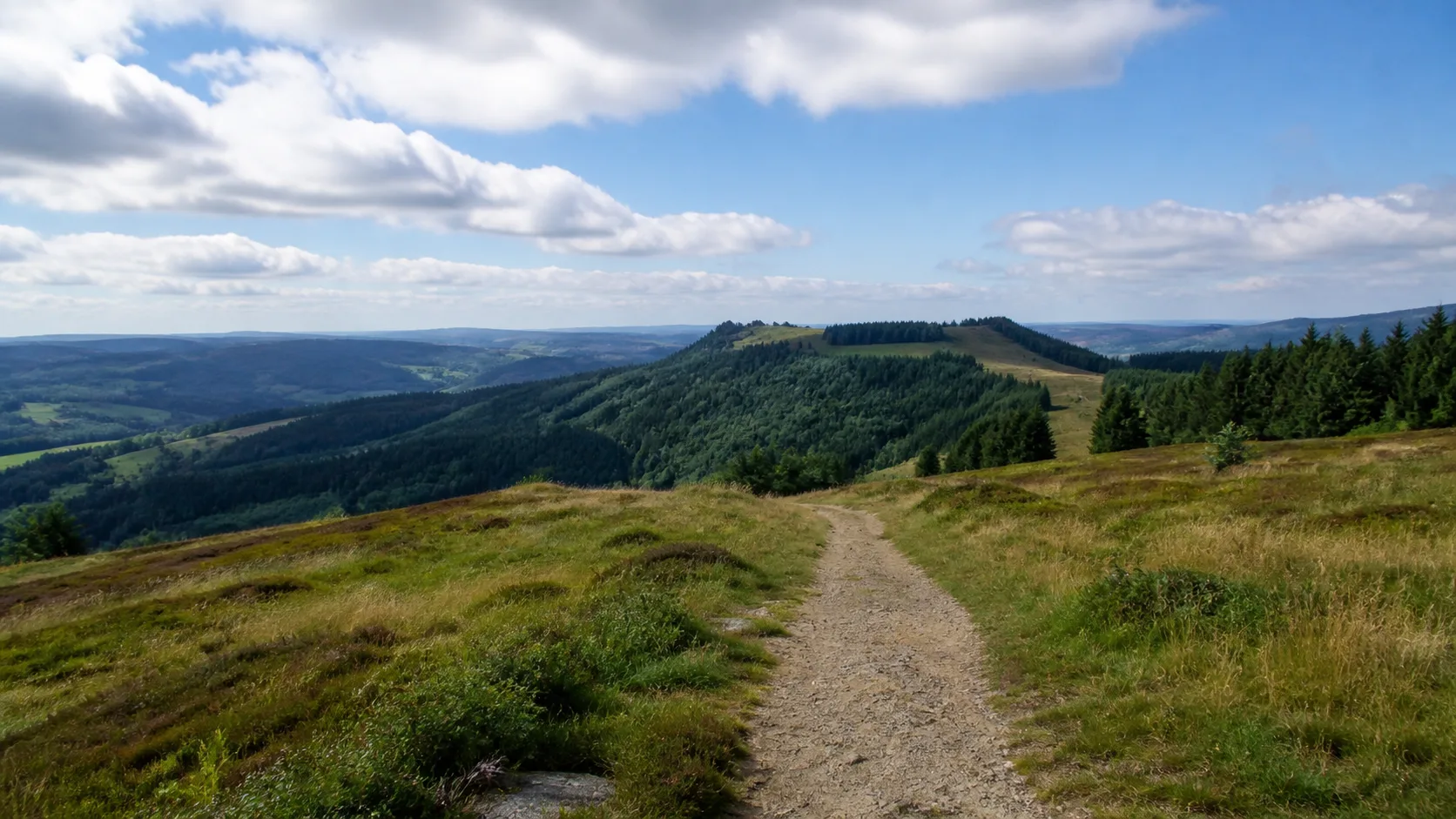 Feld- und Bachweg an der Welle