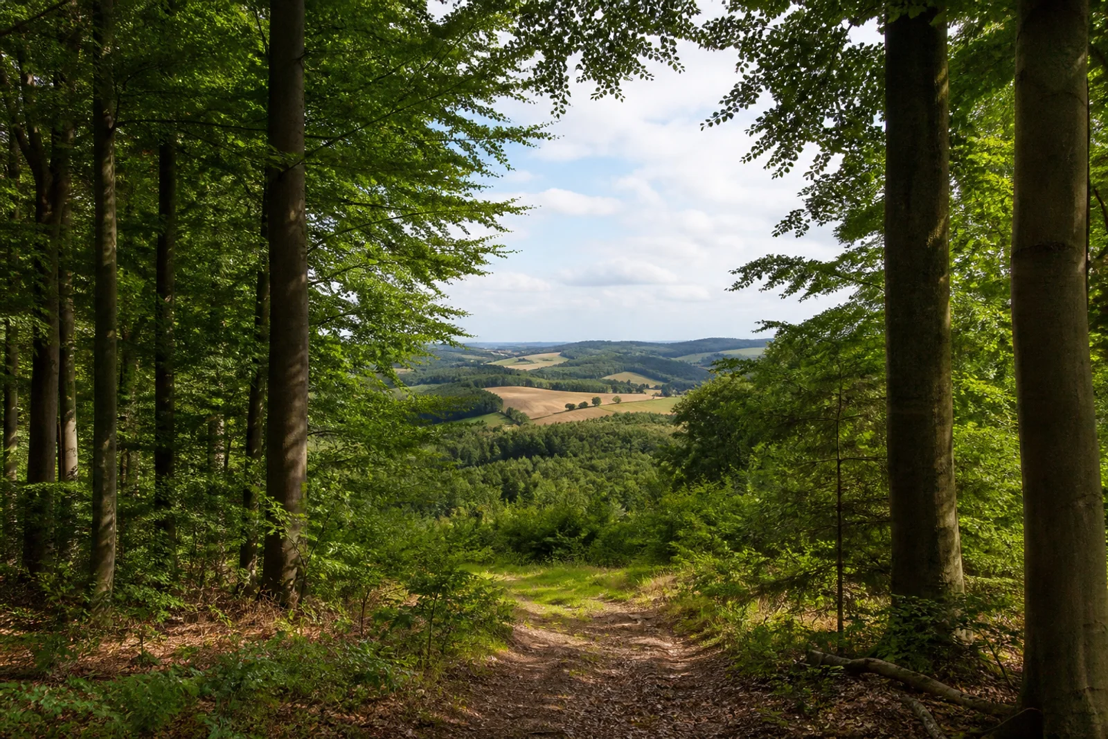 Waldhöhe über Gevelsberg