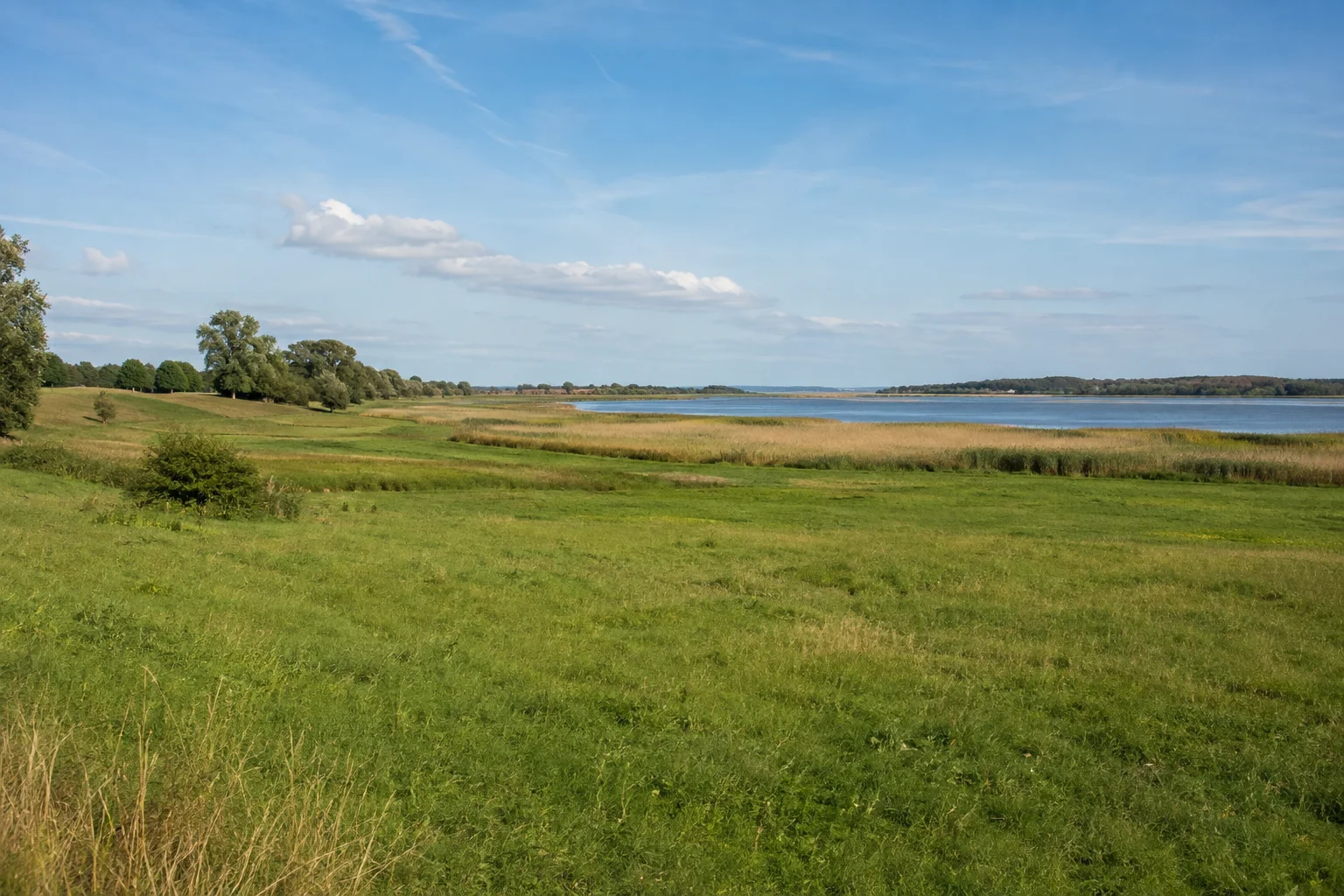 Volsvitzer Boddenrand: grüne Wiesen mit Schilf und entferntem ruhigem Boddenwasser unter weitem Himmel