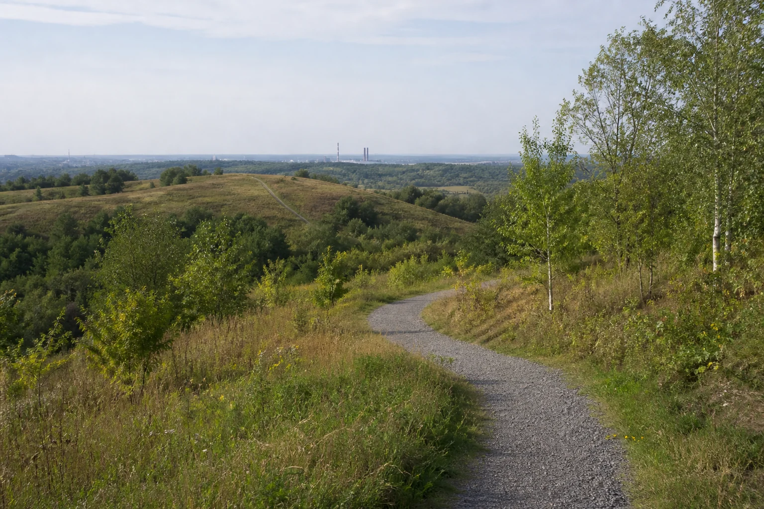 Weg durch die begrünte Haldenwelt im Süden von Gladbeck