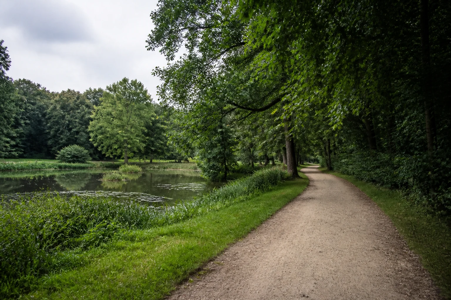 Waldweg an einem Teich im Wittringer Wald in Gladbeck