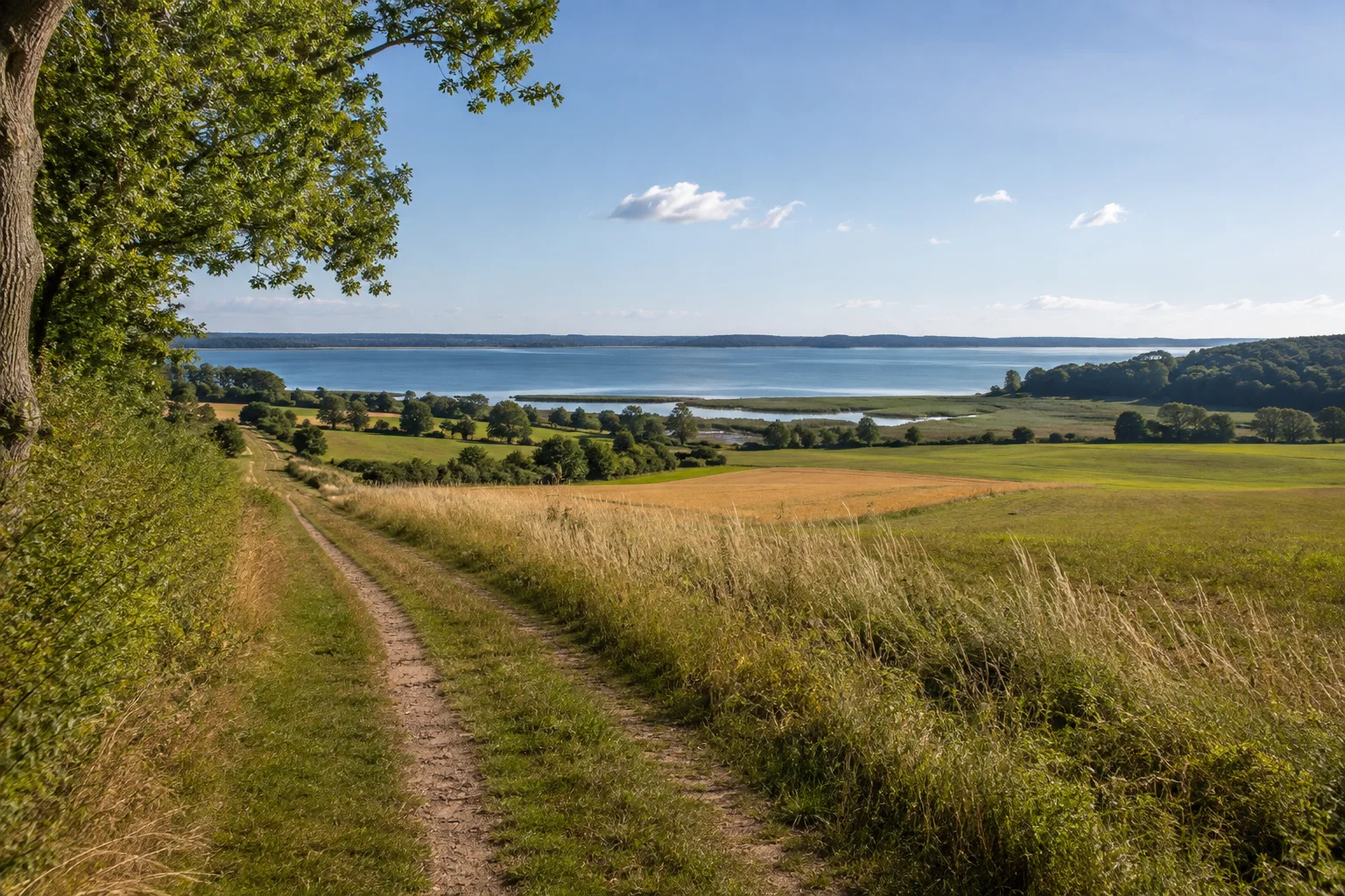 Bobbiner Boddenblick: leicht erhöhter Wiesenweg mit weitem Blick über Felder, Schilf und den Großen Jasmunder Bodden