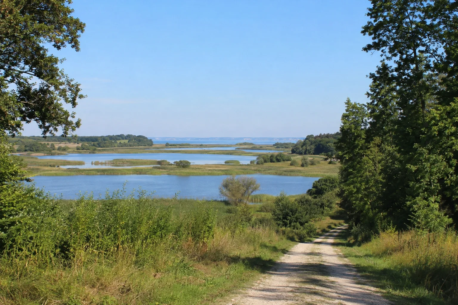 Spyckersche Seen: flache ruhige Seen mit Schilfgürteln und grünen landseitigen Wegen