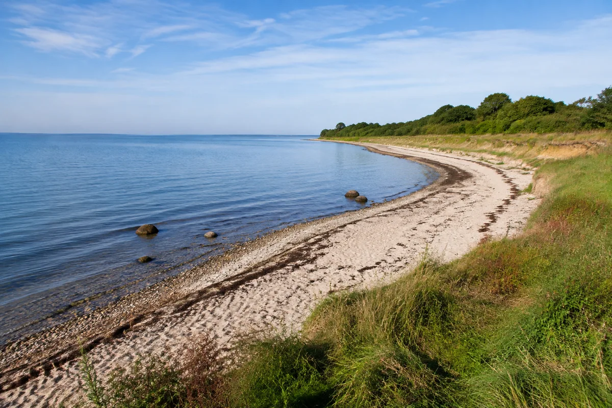 Holnis Ostküste: Sanft geschwungener heller Strand vor niedriger grüner Küstenkante und ruhiger Ostsee