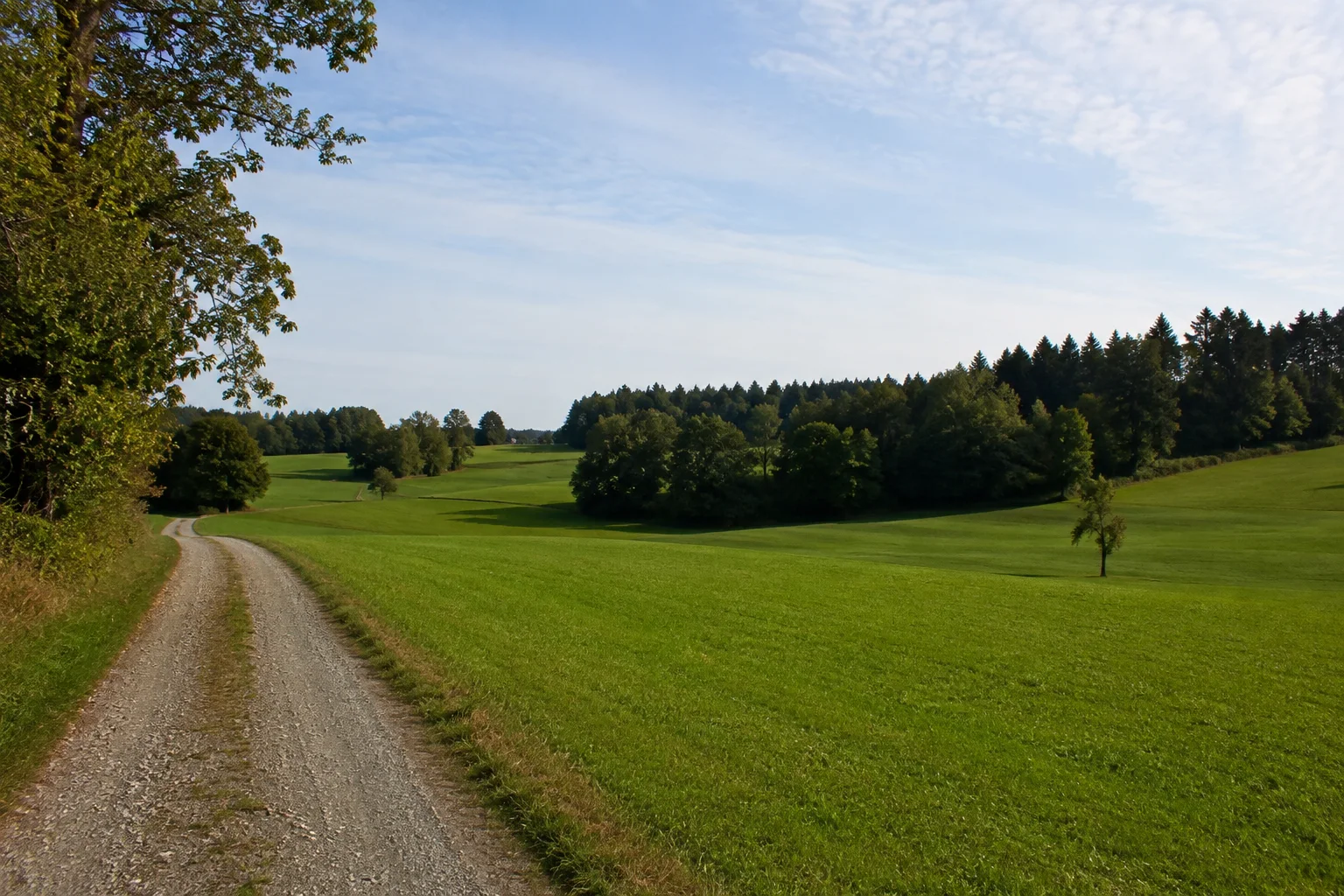 Moosrain bei Gmund: Wiesen und kleine Waldstücke im sanften nördlichen Tegernseer Vorland