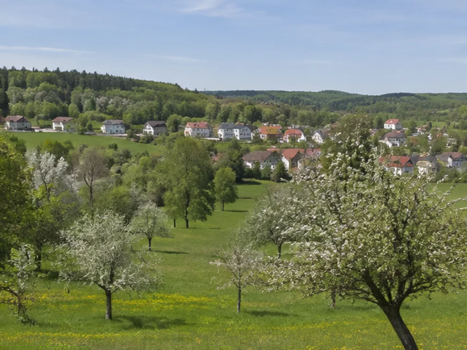 Jurahochfläche: Wiesen und Waldränder über der Wiesent