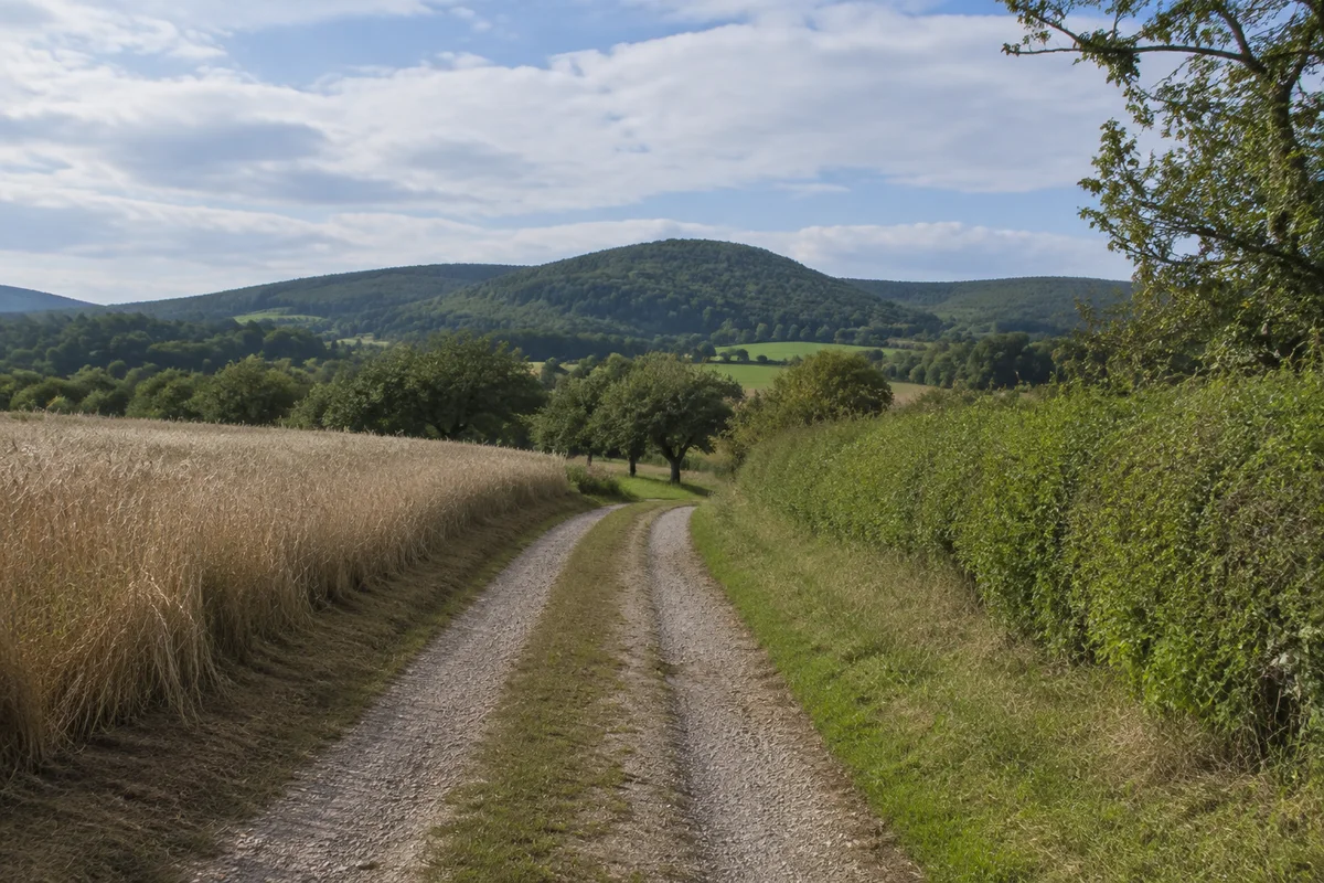 Ländlicher Feldweg zwischen Äckern, Hecken und Obstbäumen bei Knutbühren westlich Göttingen, gerundete bewaldete Höhen