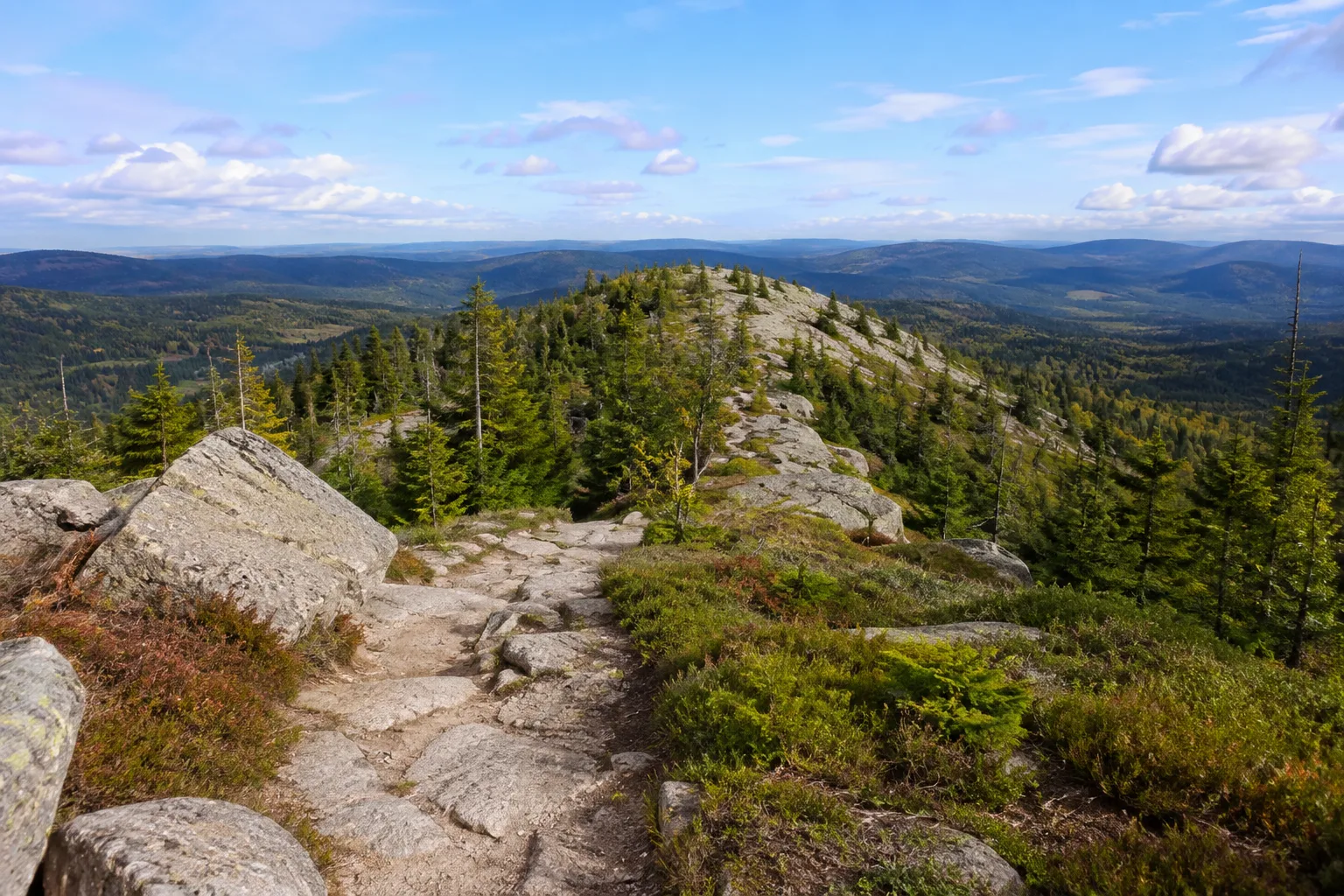 Nordroute: steiniger Kammweg durch hochgelegenen Bergwald