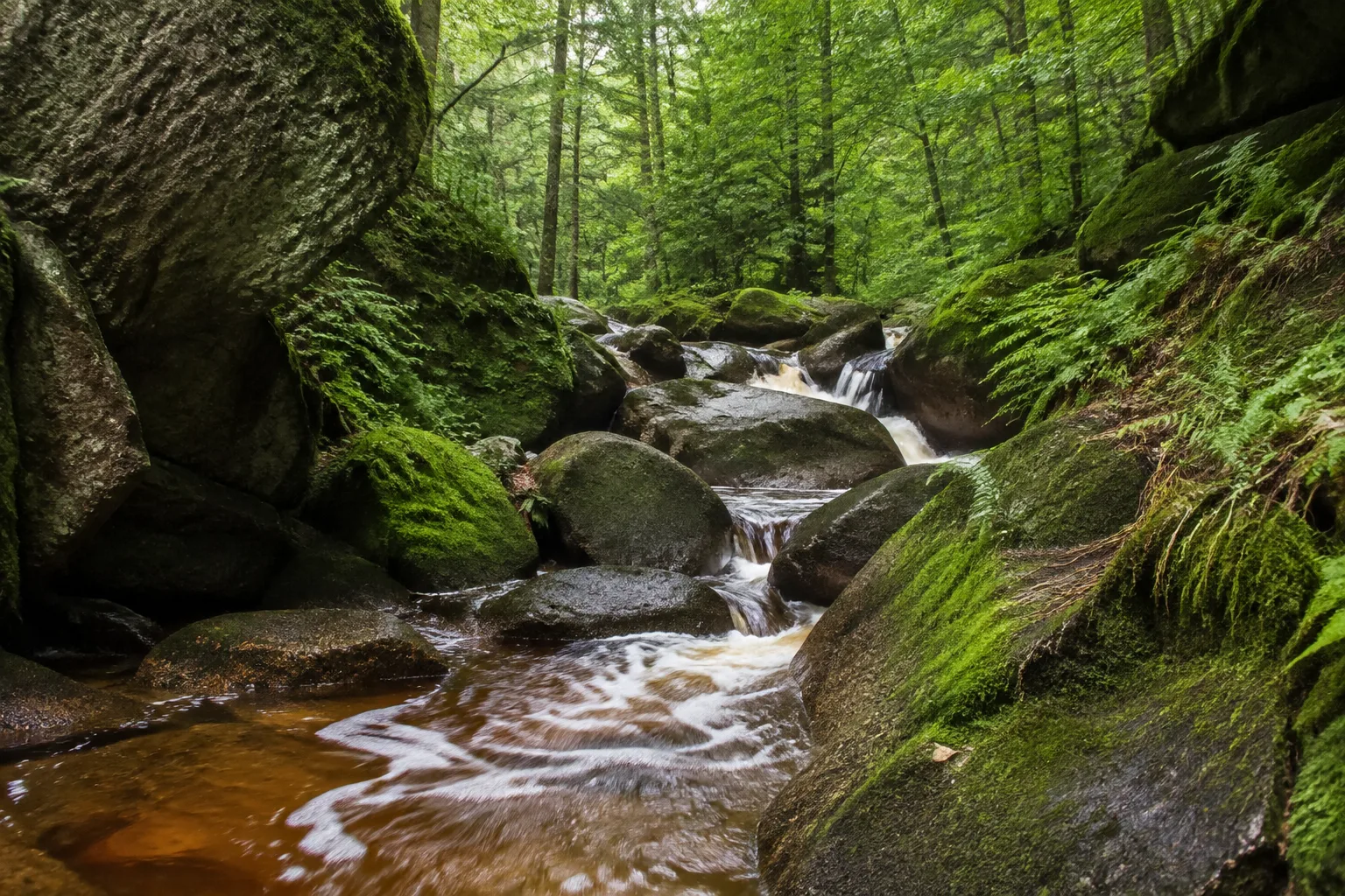 Steinklamm: schmaler Wildbach zwischen moosigen Granitblöcken und Waldhängen