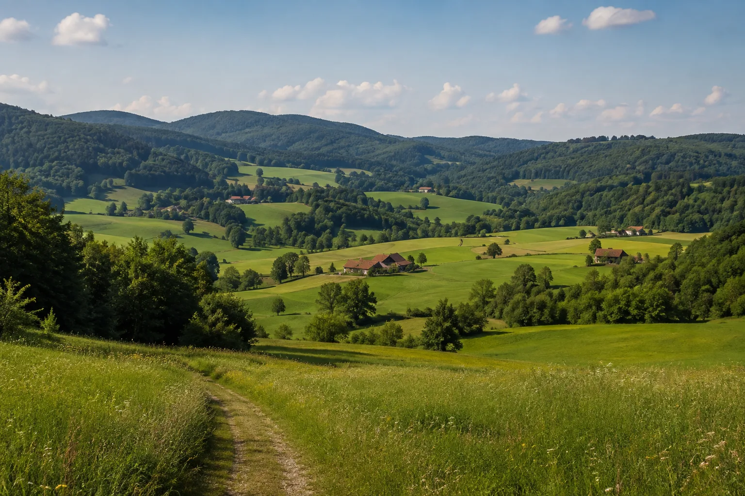 Ilzland: Wiesenhänge, Einzelhöfe und dunkle Waldsäume