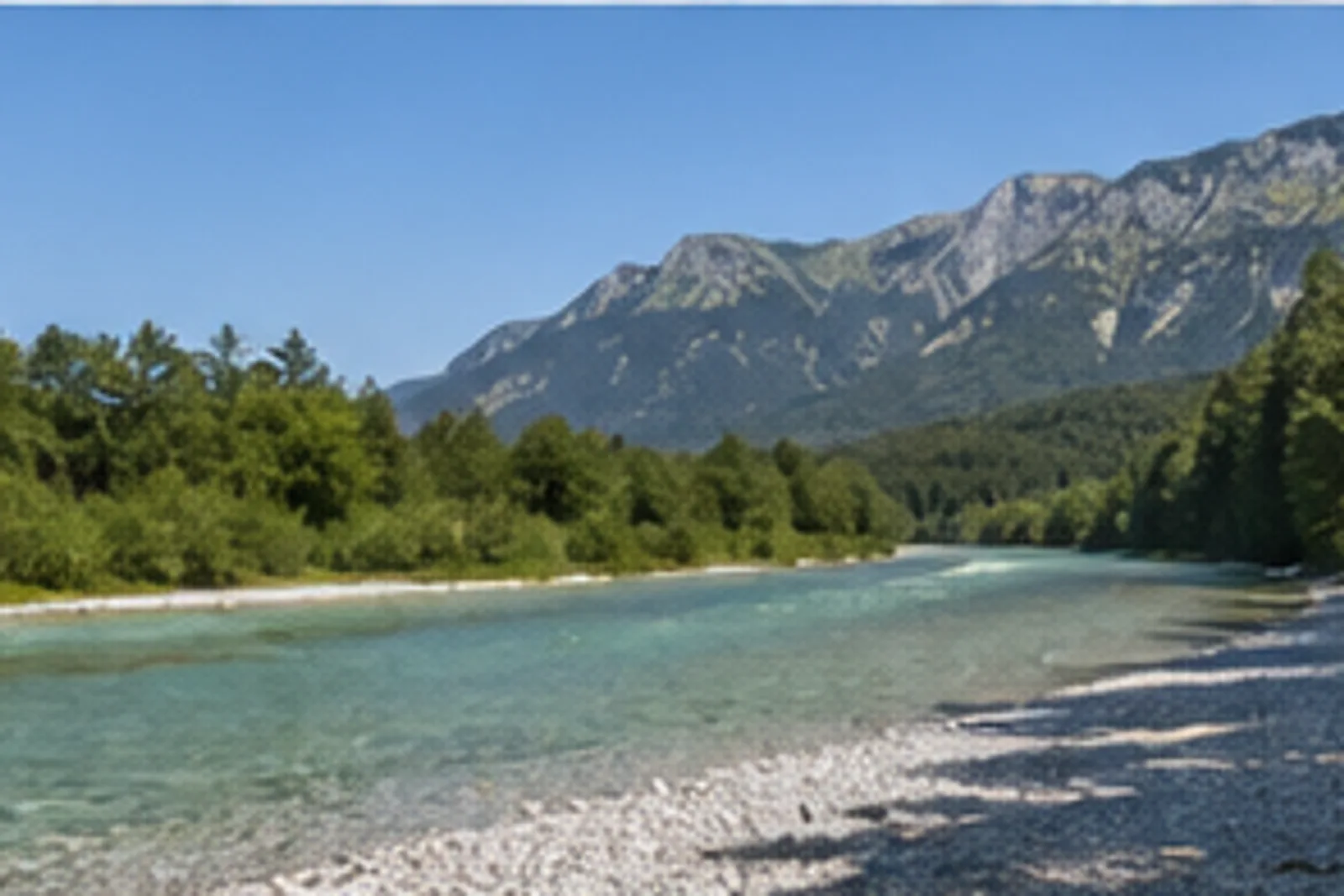 Tiroler Ache: heller Flusslauf mit Kies und Auenwald