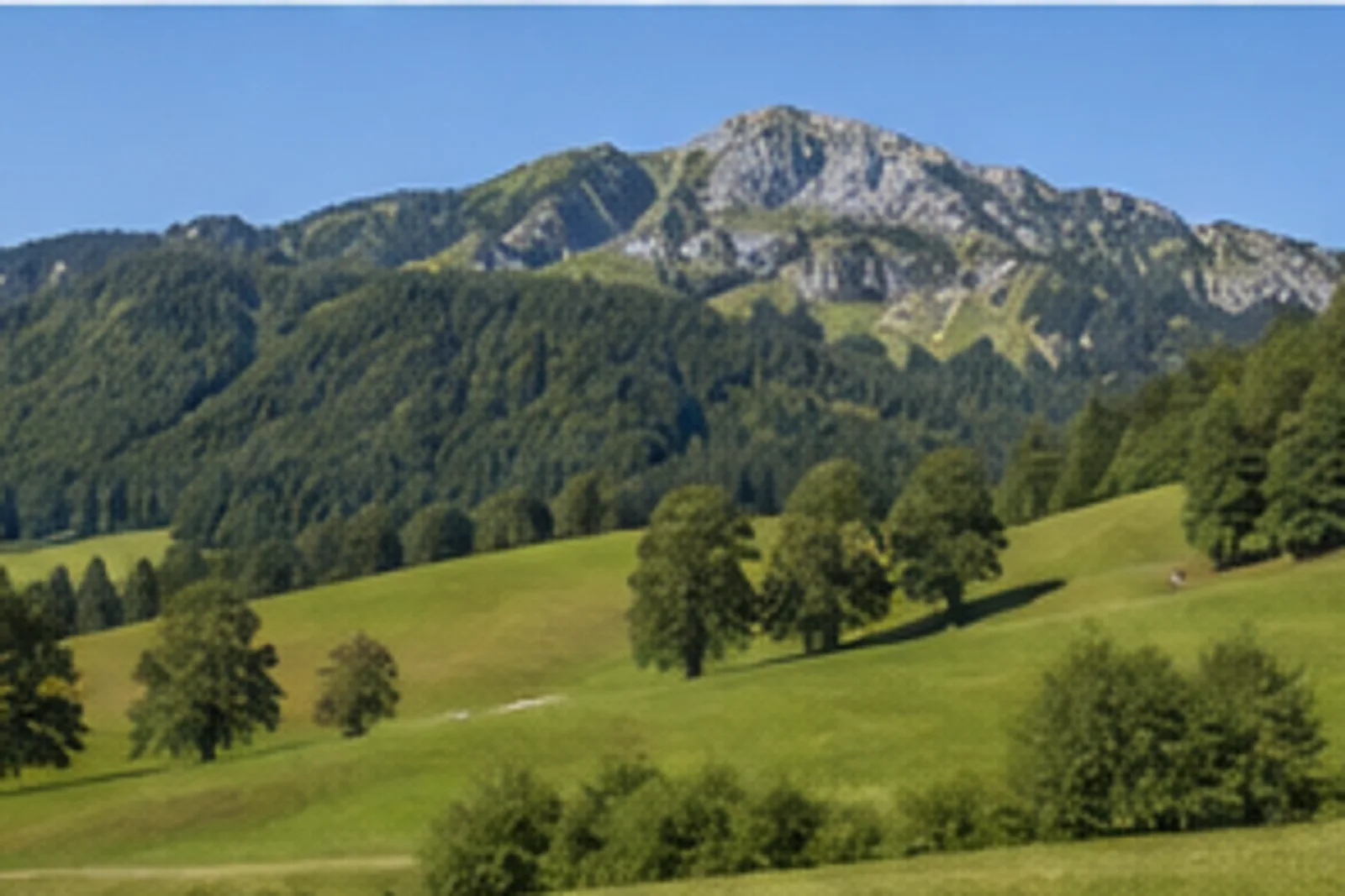 Strehtrumpf: Wiesenhänge und Bergwald am Hochplattenfuß