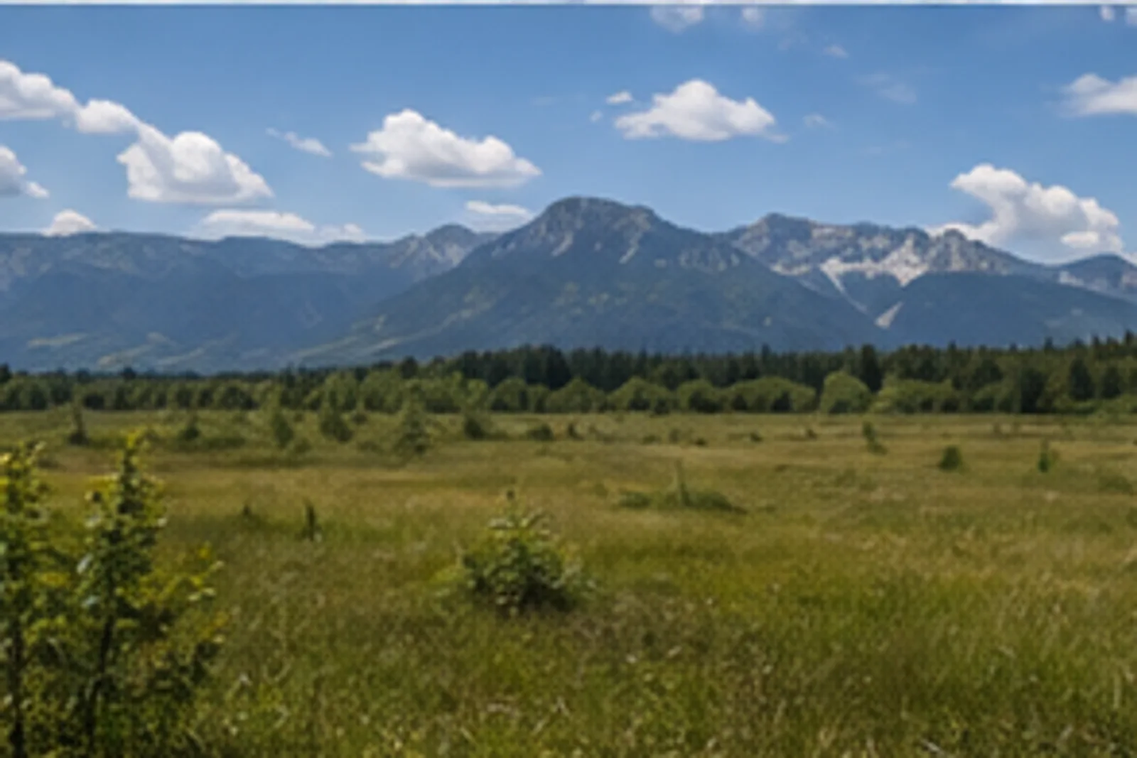 Grassau: Grassau: Kendlmühlfilzen: weite Moorwiesen vor der Chiemgauer Alpenkette